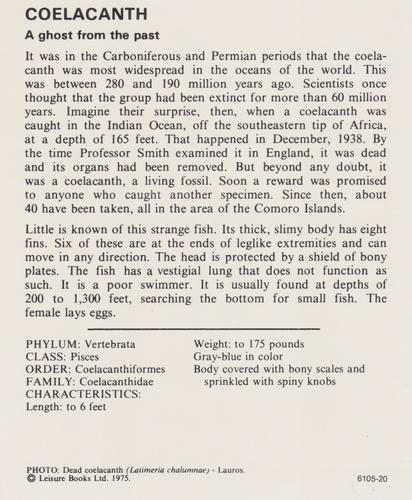 1975-80 Leisure Books Wildlife Treasury #6105-20 Coelacanth Back