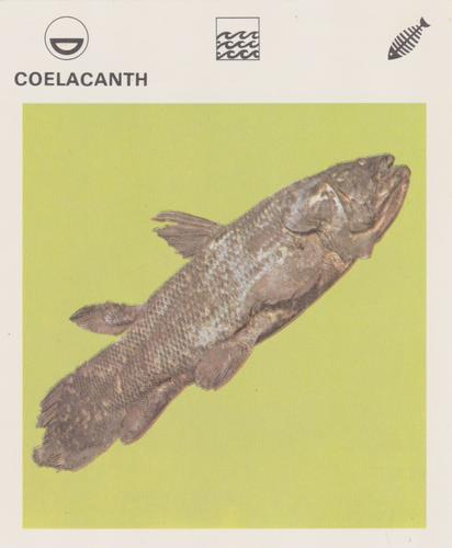 1975-80 Leisure Books Wildlife Treasury #6105-20 Coelacanth Front