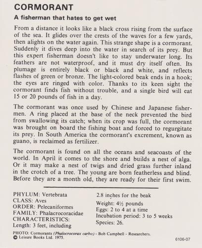 1975-80 Leisure Books Wildlife Treasury #6106-07 Cormorant Back