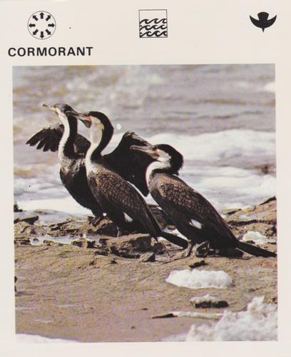 1975-80 Leisure Books Wildlife Treasury #6106-07 Cormorant Front