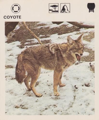 1975-80 Leisure Books Wildlife Treasury #6106-09 Coyote Front