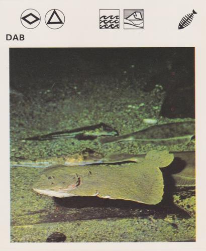1975-80 Leisure Books Wildlife Treasury #6106-23 Dab Front