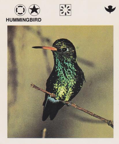 1975-80 Leisure Books Wildlife Treasury #6108-09 Hummingbird Front