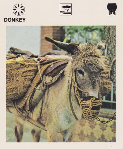 1975-80 Leisure Books Wildlife Treasury #6108-11 Donkey Front