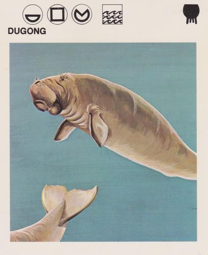 1975-80 Leisure Books Wildlife Treasury #6110-03 Dugong Front