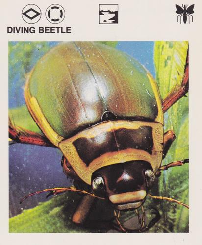 1975-80 Leisure Books Wildlife Treasury #6110-16 Diving Beetle Front