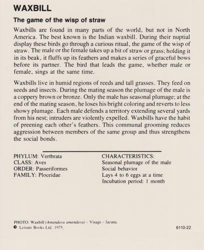 1975-80 Leisure Books Wildlife Treasury #6110-22 Waxbill Back