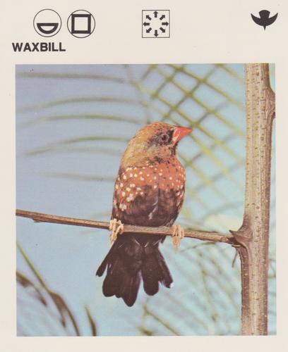 1975-80 Leisure Books Wildlife Treasury #6110-22 Waxbill Front