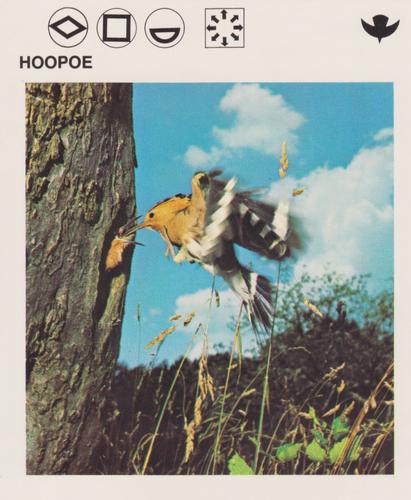 1975-80 Leisure Books Wildlife Treasury #6116-04 Hoopoe Front