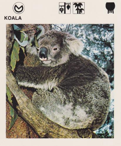 1975-80 Leisure Books Wildlife Treasury #6116-16 Koala Front