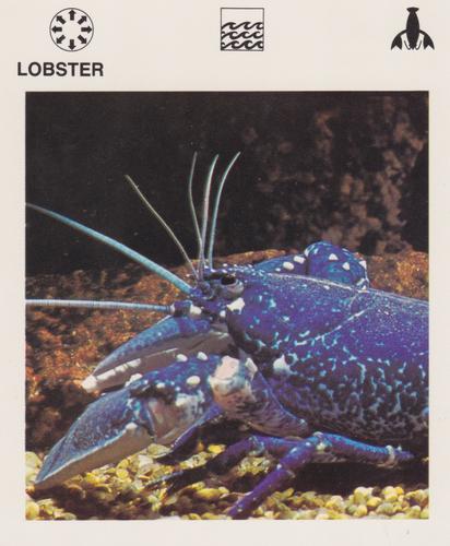 1975-80 Leisure Books Wildlife Treasury #6116-17 Lobster Front