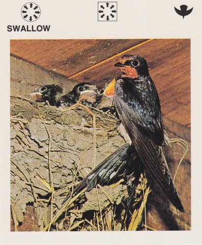 1975-80 Leisure Books Wildlife Treasury #6116-23 Swallow Front