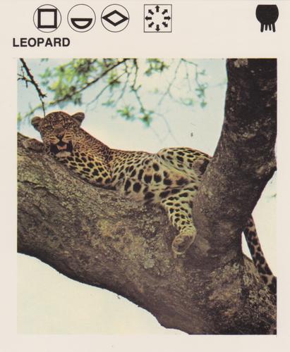 1975-80 Leisure Books Wildlife Treasury #6117-10 Leopard Front