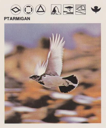 1975-80 Leisure Books Wildlife Treasury #6117-15 Ptarmigan Front