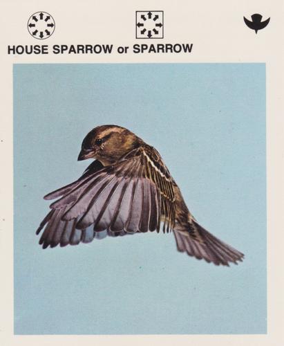 1975-80 Leisure Books Wildlife Treasury #6118-06 House Sparrow or Sparrow Front