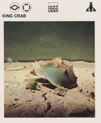 1975-80 Leisure Books Wildlife Treasury #6118-08 King Crab Front