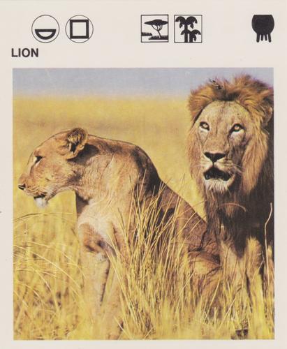 1975-80 Leisure Books Wildlife Treasury #6118-10 Lion Front