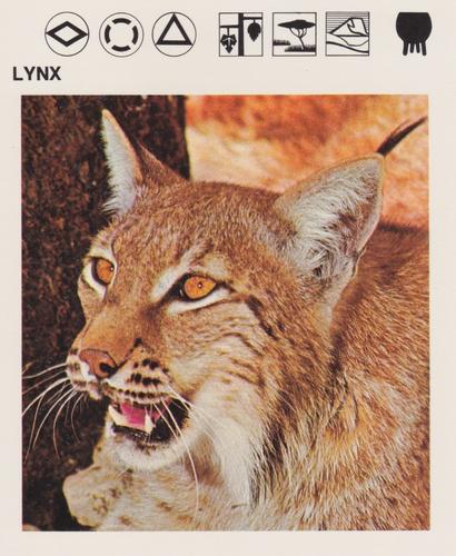 1975-80 Leisure Books Wildlife Treasury #6118-12 Lynx Front