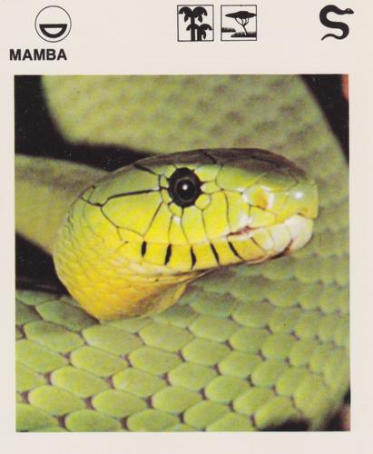 1975-80 Leisure Books Wildlife Treasury #6118-14 Mamba Front