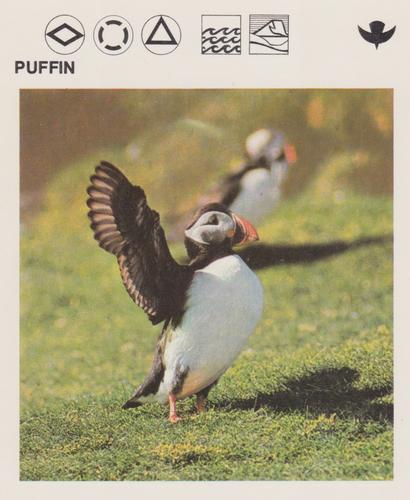 1975-80 Leisure Books Wildlife Treasury #6118-19 Puffin Front