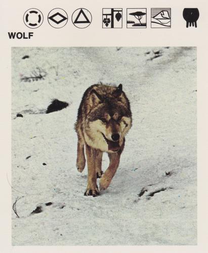 1975-80 Leisure Books Wildlife Treasury #6118-24 Wolf Front