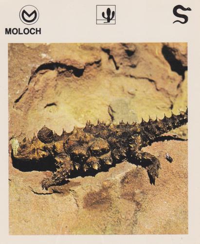 1975-80 Leisure Books Wildlife Treasury #6120-15 Moloch Front