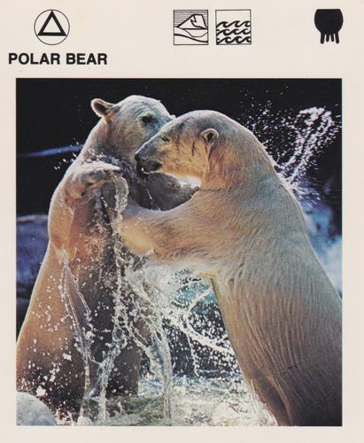 1975-80 Leisure Books Wildlife Treasury #6124-01 Polar Bear Front