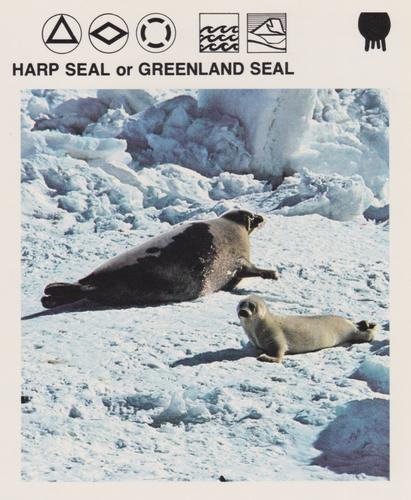 1975-80 Leisure Books Wildlife Treasury #6125-04 Harp Seal or Greenland Seal Front