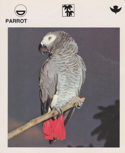 1975-80 Leisure Books Wildlife Treasury #6125-10 Parrot Front