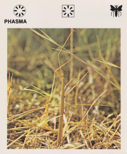 1975-80 Leisure Books Wildlife Treasury #6125-12 Phasma Front