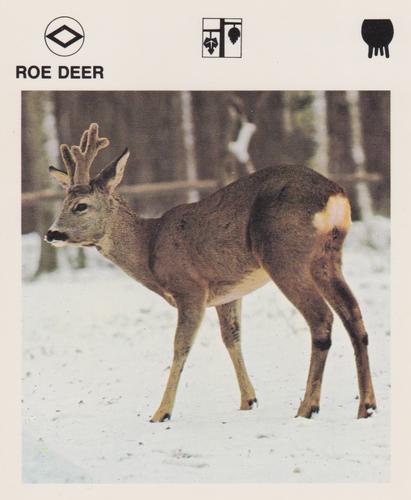 1975-80 Leisure Books Wildlife Treasury #6125-17 Roe Deer Front