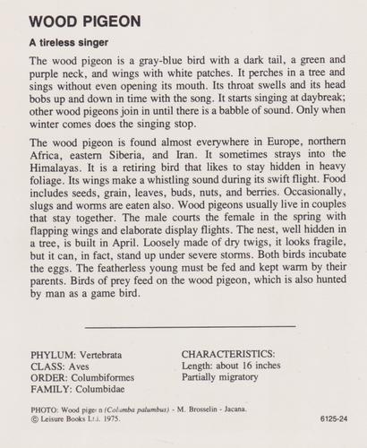1975-80 Leisure Books Wildlife Treasury #6125-24 Wood Pigeon Back