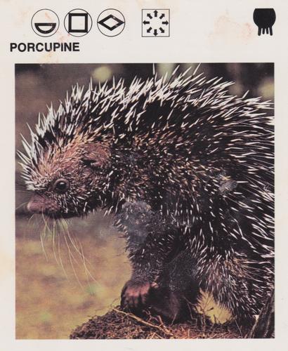1975-80 Leisure Books Wildlife Treasury #6126-17 Porcupine Front