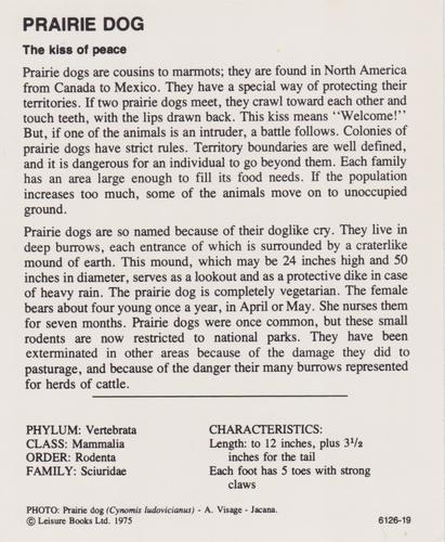 1975-80 Leisure Books Wildlife Treasury #6126-19 Prairie Dog Back