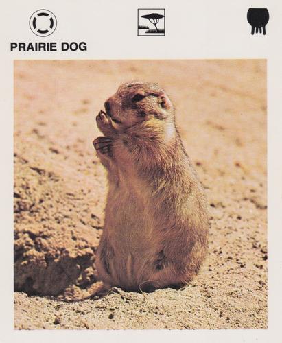 1975-80 Leisure Books Wildlife Treasury #6126-19 Prairie Dog Front