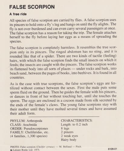 1975-80 Leisure Books Wildlife Treasury #6128-01 False Scorpion Back