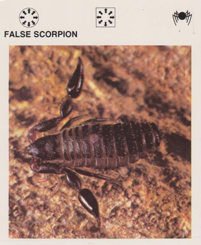 1975-80 Leisure Books Wildlife Treasury #6128-01 False Scorpion Front