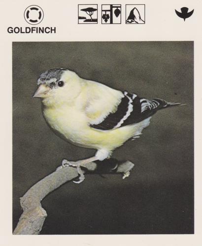 1975-80 Leisure Books Wildlife Treasury #6128-05 Goldfinch Front