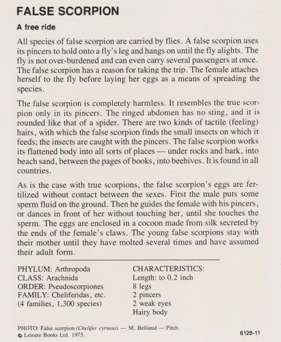 1975-80 Leisure Books Wildlife Treasury #6128-11 False Scorpion Back