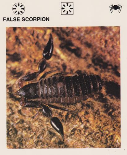 1975-80 Leisure Books Wildlife Treasury #6128-11 False Scorpion Front