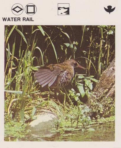 1975-80 Leisure Books Wildlife Treasury #6128-24 Water Rail Front