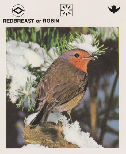 1975-80 Leisure Books Wildlife Treasury #6129-01 Redbreast or Robin Front