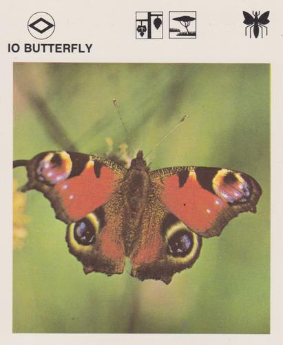 1975-80 Leisure Books Wildlife Treasury #6129-06 Io Butterfly Front