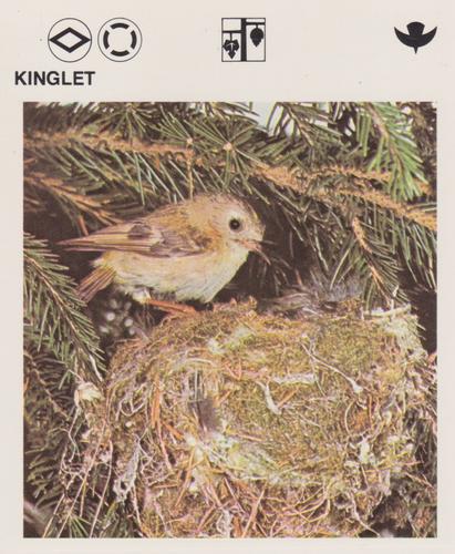 1975-80 Leisure Books Wildlife Treasury #6129-08 Kinglet Front