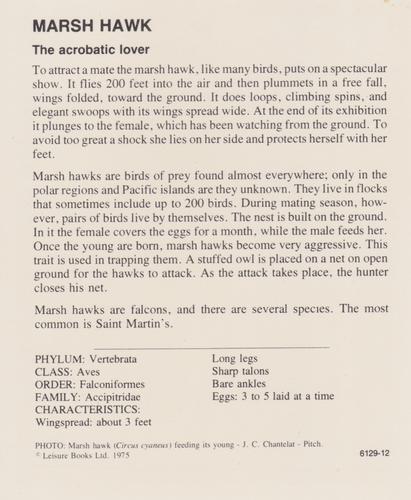 1975-80 Leisure Books Wildlife Treasury #6129-12 Marsh Hawk Back