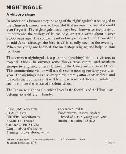 1975-80 Leisure Books Wildlife Treasury #6129-13 Nightingale Back