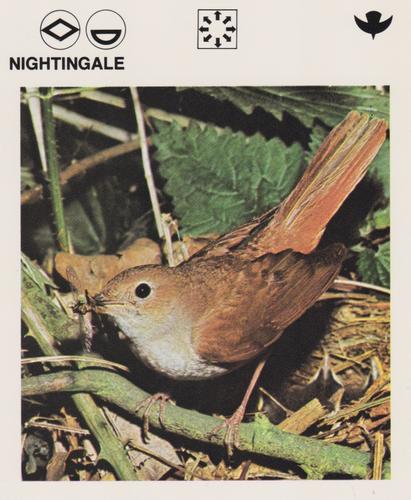 1975-80 Leisure Books Wildlife Treasury #6129-13 Nightingale Front
