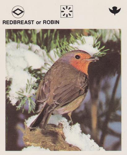 1975-80 Leisure Books Wildlife Treasury #6129-14 Redbreast or Robin Front