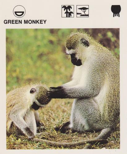 1975-80 Leisure Books Wildlife Treasury #6130-03 Green Monkey Front