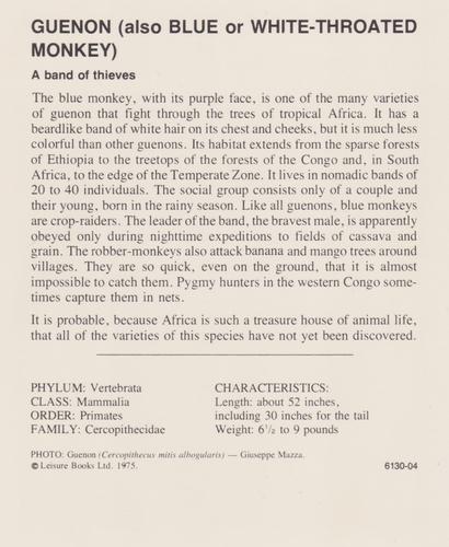 1975-80 Leisure Books Wildlife Treasury #6130-04 Guenon (also Blue or White-Throated Monkey) Back
